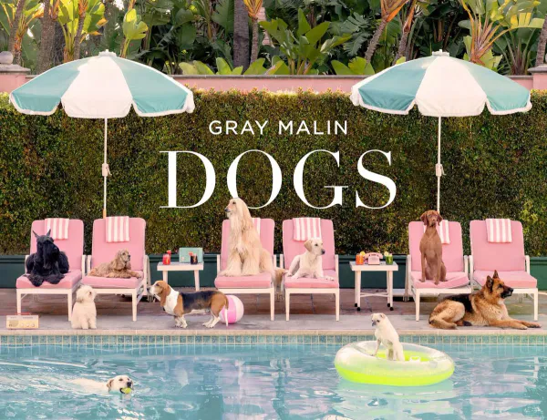 Hovedbilde Gray Malin - Dogs